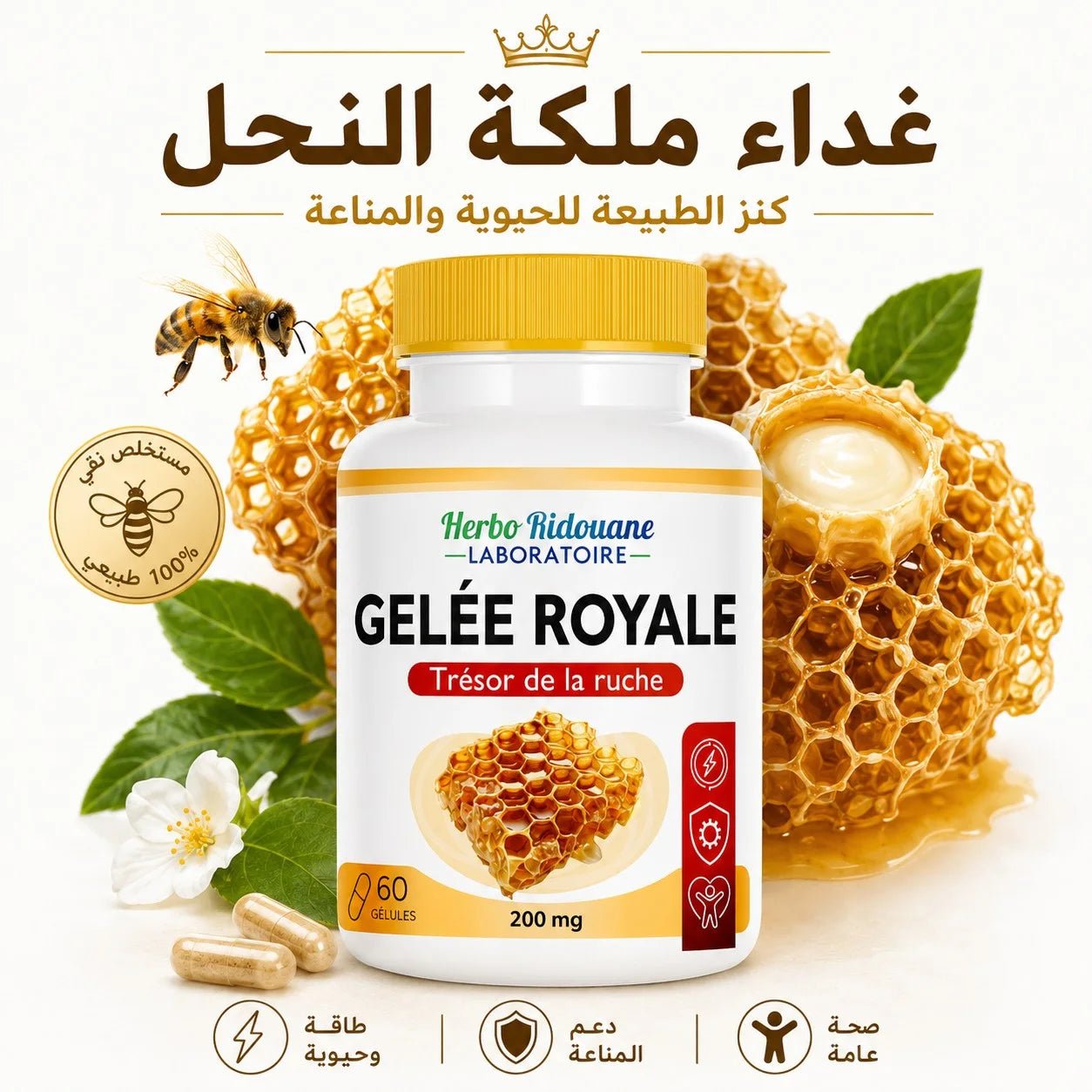الحل الدي لم تعرفه حتى الآن - TROPYMALL